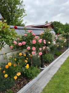 Zahrada ubytování Theresiengarten