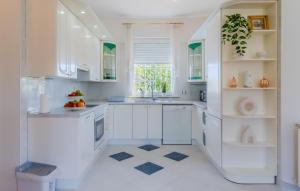 Η κουζίνα ή μικρή κουζίνα στο Gorgeous Home In Hrvatski Leskovac