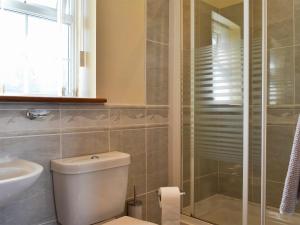 un bagno con wc, lavandino e doccia di Black Horse Cottage a Pentraeth Altre 4 foto
