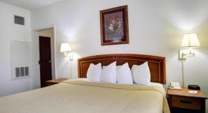 a hotel room with a large bed with white pillows at Quality Inn & Suites Airport in Austin