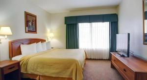 a hotel room with a bed and a flat screen tv at Quality Inn & Suites Airport in Austin