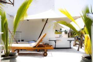 a room with a hammock and a table and plants at Pili Pili Tropical Island in Jambiani