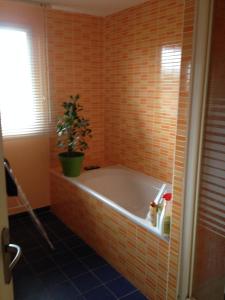 uma banheira na casa de banho com uma planta em gîte ty coat an traezh em Plougasnou