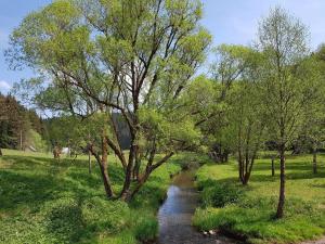 Φυσικό τοπίο κοντά σε αυτό το διαμέρισμα