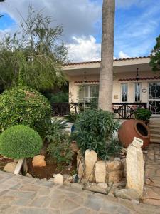 a house with a palm tree in the yard at Villa Filip Coral Bay in Peyia