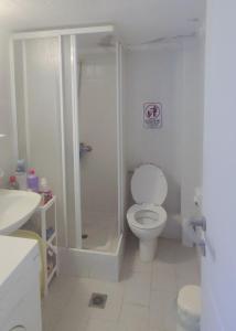 a white bathroom with a toilet and a shower at Agnanti Apartment in Kalyves Poligirou