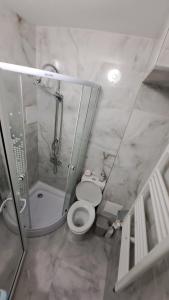 a bathroom with a shower and a toilet at Dani Cute in Vaslui +14 photos