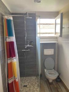a bathroom with a shower and a toilet at Maison du bonheur SPA in Neuvic +17 photos