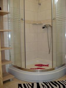 a bathroom with a shower with red blood on the floor at Apartmani Franceska in Bol +67 photos