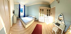 a bedroom with a bed and a mirror on the wall at Villa Denise in Vals-les-Bains