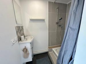 a white bathroom with a sink and a shower at HeberGeneve : Balcon sur le Jura in Gex