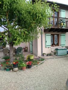 a house with a bunch of potted plants and a tree at Chambre Chez l'Habitant in Ambarès-et-Lagrave