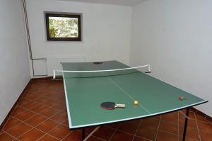 a ping pong table with a ball on it at Otevřená Náruč Pension in Letovice