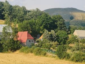a barn with a red roof in a field at Seoski dom in Šavnik