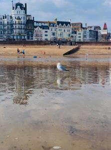 Φυσικό τοπίο κοντά σε αυτό το διαμέρισμα