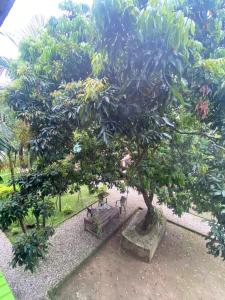 Hotel Tree Land Lodge and Cottage外面的花园