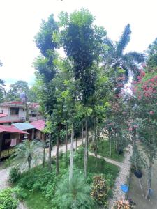 Hotel Tree Land Lodge and Cottage外面的花园