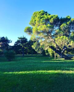 Gallery image of DOMAINE LES VINYES in Pollestres