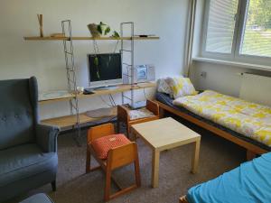 a living room with a tv and a couch and chairs at Apartmán u Klínovce in Měděnec