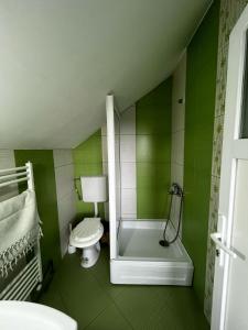 baño verde con aseo y ducha en Casa Maria Alexandra, en Berceşti