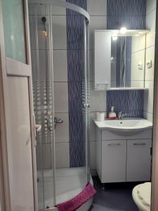 un baño con ducha y lavabo en Casa Maria Alexandra, en Berceşti 24 fotos más