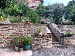 a stone wall with a bunch of potted plants at Ferienwohnung Harzteufel in Blankenburg