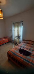 Letto o letti in una camera di Mystique Hideout