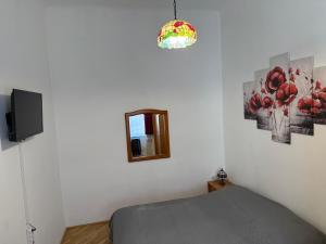 a bedroom with a bed and a mirror and a tv at Little Hungary Apartment in Budapest