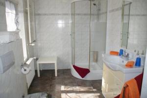 a bathroom with a shower and a sink at Altstadtappartement - ABC59 in Wismar