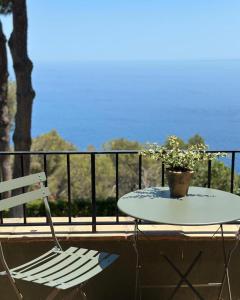a table and a chair and a potted plant on a balcony at La Casa del Faro de Llafranc in Llafranc