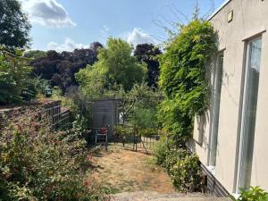a garden next to a house with bushes and trees at The River Apartment By RentMyHouse in Hereford
