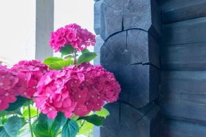 un jarrón lleno de flores rosas junto a una ventana en Test, en Salacgrīva