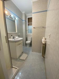 a bathroom with a sink and a toilet and a shower at Tejería 43 by Clabao in Pamplona