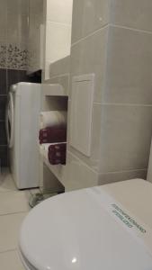 a bathroom with a white toilet and a sink at Apartament Grey in Iwonicz-Zdrój