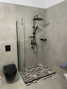 ein Badezimmer mit Glasdusche und WC in der Unterkunft Deos Thassos in Panagia + 59 Fotos
