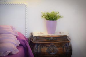 a potted plant sitting on top of a wooden table at Hotel Villa Denia in San Vincenzo