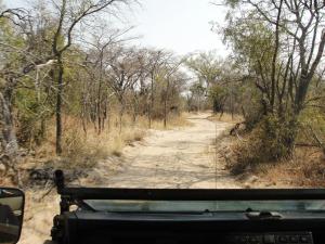 vistas a un camino de tierra desde un vehículo en Mabula Game Reserve, en Welbekend 3 fotos más