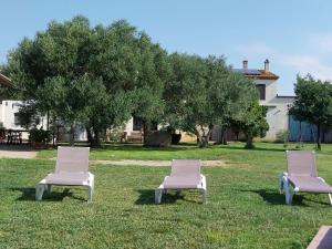three chairs sitting in the grass in a yard at Agroturisme MAS CAN FONT in Ventalló