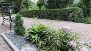 a garden with a bench and some plants and flowers at Apartament Grey in Iwonicz-Zdrój