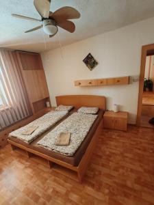 VáclavovにあるApartmán Irisのベッドと天井扇風機のある寝室