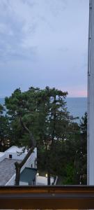 a window view of a tree and the ocean at White Home in K'obulet'i