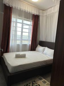 ein Schlafzimmer mit einem großen Bett mit Fenster in der Unterkunft Akombe homestay-Makasembo in Kisumu
