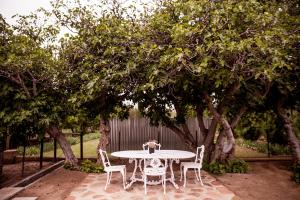 a white table and chairs under a tree at Vygeboom Studio in Nieu-Bethesda +3 photos