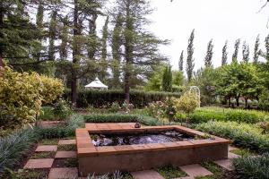 a garden with a small pond in the middle at Vygeboom Studio in Nieu-Bethesda