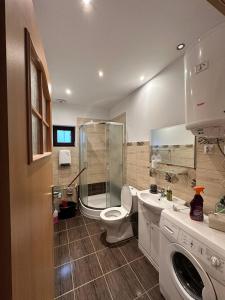 a bathroom with a shower and a toilet and a sink at Noclegi na Szczęśliwej 1 w Okunince in Okuninka