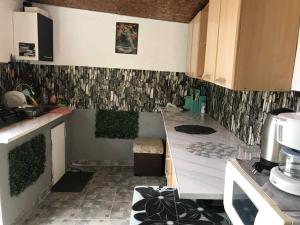 Kuchyň nebo kuchyňský kout v ubytování Casa Tomița + 22 fotografií