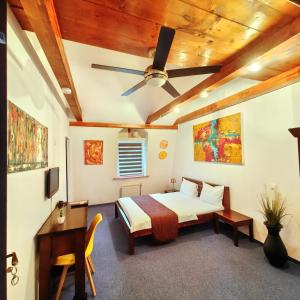 Gallery image of Villa Santa Maria in Sibiu +59 photos