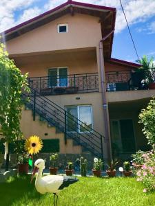 Zahrada ubytování Casa Tomița