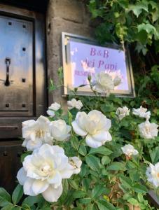 Zahrada ubytování B&B dei Papi Boutique Hotel
