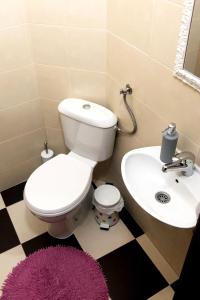 a bathroom with a toilet and a sink at Belgrade Central QUINCE Apartment in Belgrade +18 photos